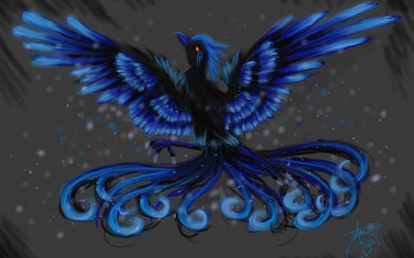 What Kind Of Phoenix Are You? - Quiz | Quotev
