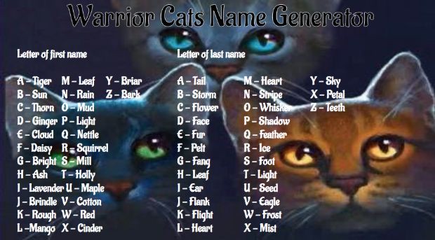 Warrior Cats: Names | Warrior Cats Guide | Quotev