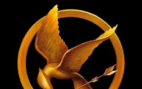 What Hunger Games character are you? - Quiz | Quotev