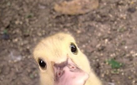 Your addicted to.. - Quiz | Quotev