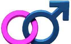 Are you More Male or Female? - Quiz Quotev