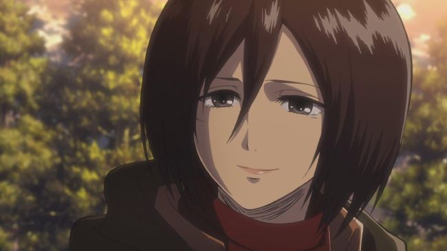 Request Made For This Mikasa Ackerman One Shots And Drabbles